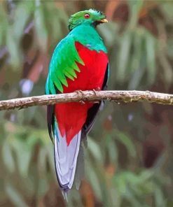 Quetzal Bird On Stick paint by numbers