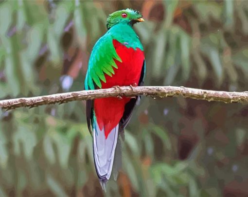 Quetzal Bird On Stick paint by numbers