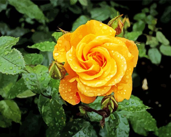 Raindrops On Yellow Flower paint by numbers