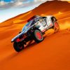 Rally Desert Car paint by numbers