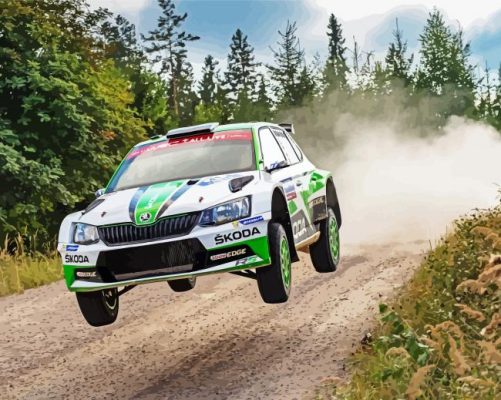 Skoda Racing Car paint by numbers