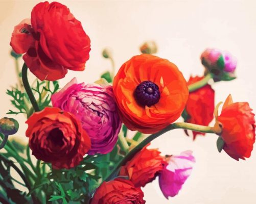 Aesthetics Ranunculus Flowers paint by numbers