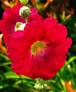 Red Blooming Hollyhocks paint by numbers