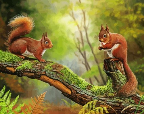 Red Squirrels On Branch paint by numbers