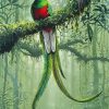 Resplendent Quetzal Bird paint by numbers