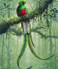 Resplendent Quetzal Bird paint by numbers