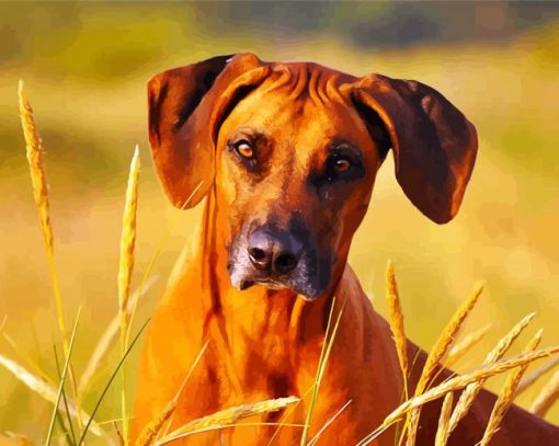 Cute Rhodesian Ridgeback paint by numbers