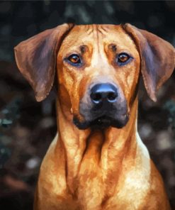 Rhodesian Ridgeback Dog Head paint by numbers