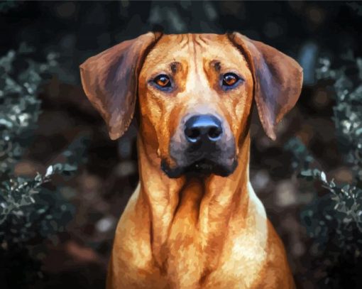 Rhodesian Ridgeback Dog Head paint by numbers