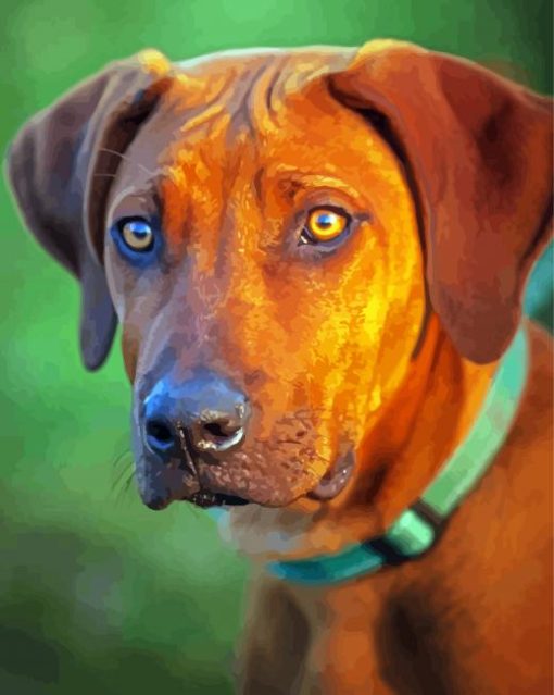 Rhodesian Ridgeback Dog paint by numbers