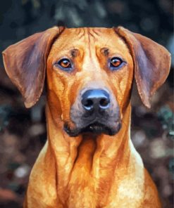 Aesthetic Rhodesian Ridgeback paint by numbers