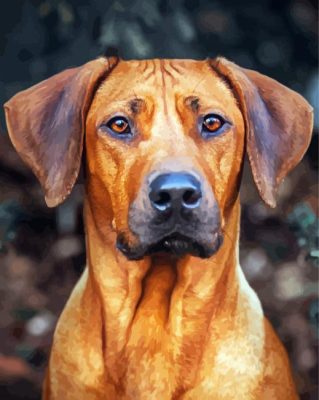 Aesthetic Rhodesian Ridgeback paint by numbers