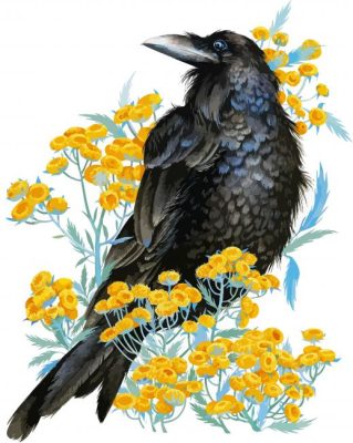 Rook Bird Art paint by numbers