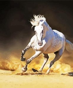 Running Andalusian Horse paint by numbers