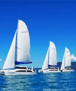 Sailing Catamarans paint by numbers