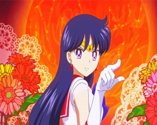 Sailor Mars Character paint by numbers