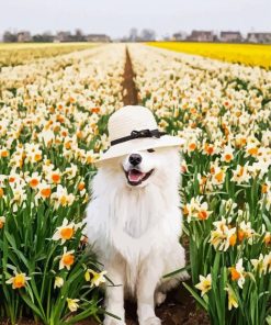 Samoyed Enjoying The Spring paint byb numbers