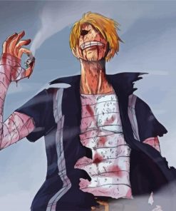 Bleeding Sanji Vinsmoke paint by numbers