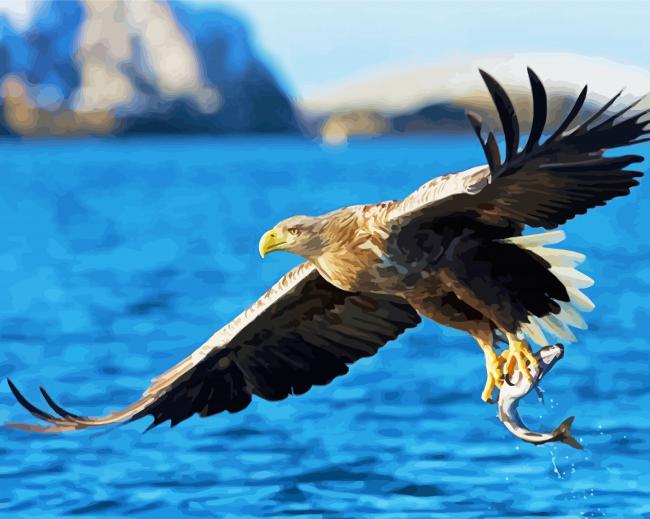 Sea Eagle Catching Fish paint by numbers