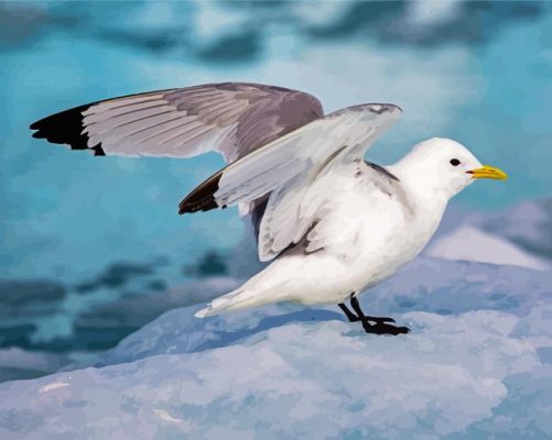 Aesthetic Seabird paint by numbers