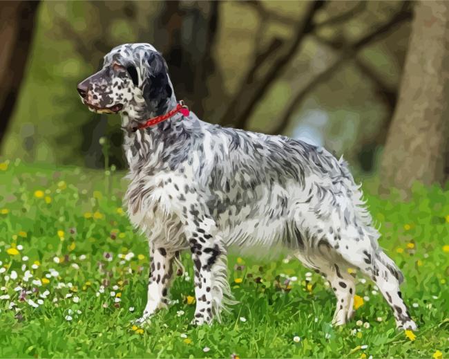 Aesthetic Setter Dog paint by numbers
