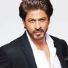 Classy Shahrukh Khan paint by numbers