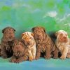 Shar Pei Puppies Dogs paint by numbers