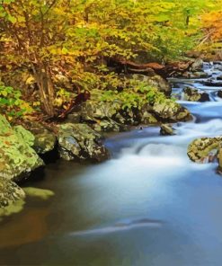 Shenandoah National Park Landscape piant by numbers