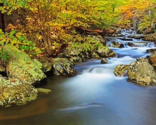 Shenandoah National Park Landscape piant by numbers