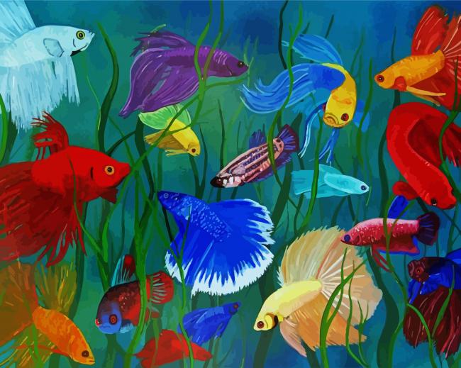 Siamese Fighting Fish paint by numbers