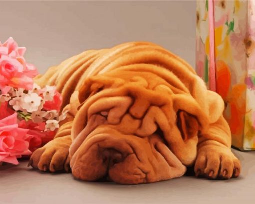 Sleepy Shar Pei paint by numbers