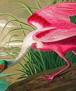 Pink Spoonbill Art paint by numbers