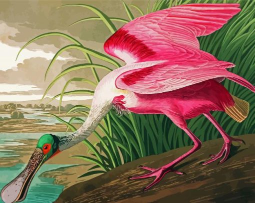 Pink Spoonbill Art paint by numbers