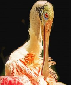 Spoonbill Bird paint by numbers