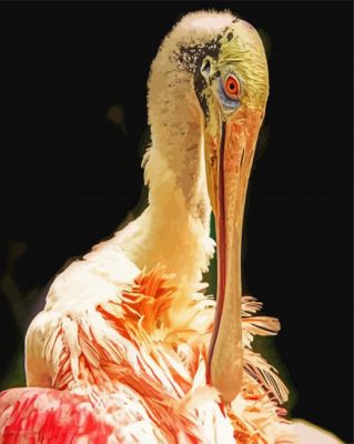 Spoonbill Bird paint by numbers