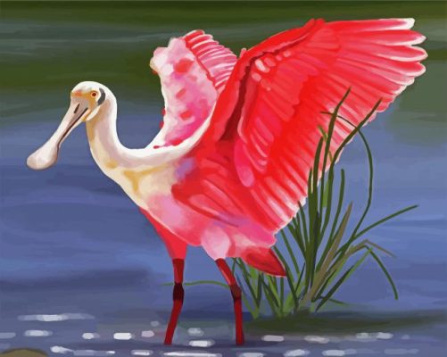 Spoonbill Pink Bird paint by numbers