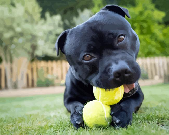 Staffordshire Bull Terrier With Tennis Ball paint by numbers
