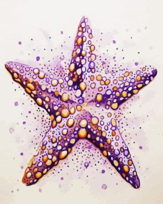 Aesthetic Starfish paint by numbers