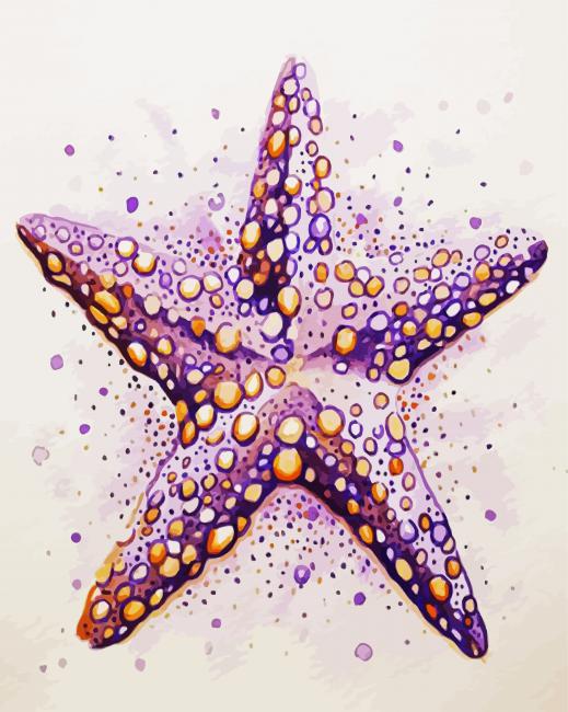 Aesthetic Starfish paint by numbers