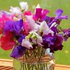 Sweetpea In Glass Vase paint by numbers