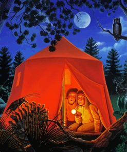 The Campout At Night paint by numbers