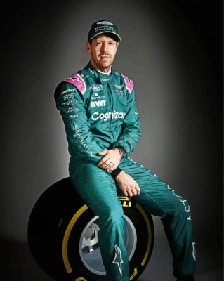 The Driver Sebastian Vettel paint by numbers