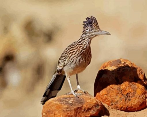 The Roadrunner Bird paint by numbers