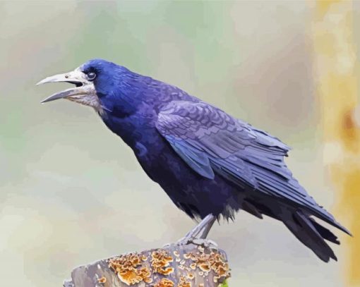 The Rook Bird paint by numbers