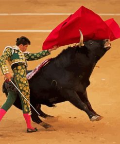 The Spanish Bullfighter paint by numbers