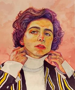 Timothée Chalamet Art paint by numbers