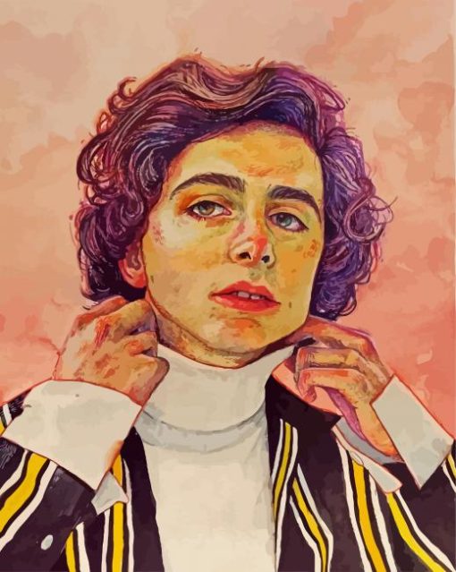 Timothée Chalamet Art paint by numbers