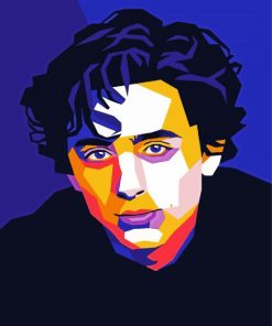 Timothée Chalamet Pop Art paint by numbers