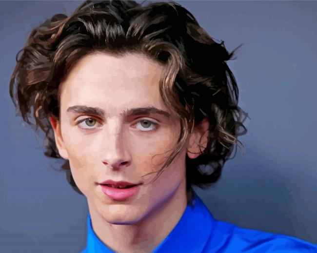 Handsome Timothée Chalamet paint by numbers