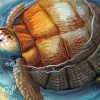 Tortoise In Water paint by numbers